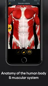 Anatomy by Muscle & Motion screenshot 2