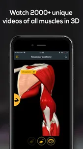 Anatomy by Muscle & Motion screenshot 4