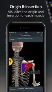 Anatomy by Muscle & Motion screenshot 5