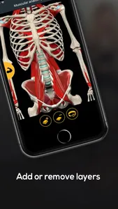 Anatomy by Muscle & Motion screenshot 6