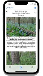 Flora of Virginia screenshot 3