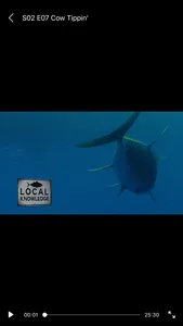 Local Knowledge Fishing Show screenshot 3