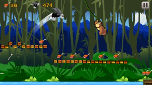 Superfly Rainforest Animals In Monkey King Jungle screenshot 3