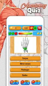 Anatomy Quiz - Science Pro Brain Education Game screenshot 2