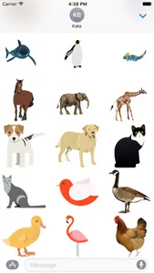 Buncee Animals screenshot 1