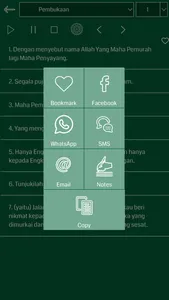 Indonesian Quran Audio screenshot 3