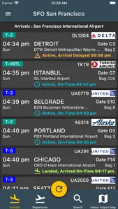 Istanbul Ataturk Airport screenshot 0