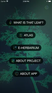 What is that leaf? screenshot 0