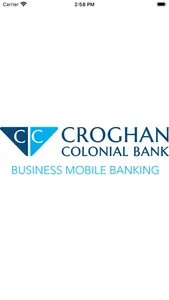 CCB Business Mobile Banking screenshot 0