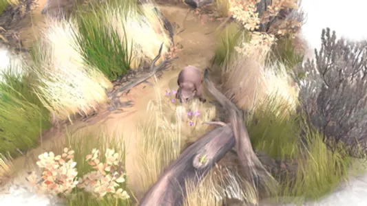 Paperbark screenshot 3