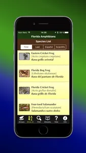 Florida Amphibians screenshot 1