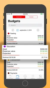 Budget control of expenses screenshot 2