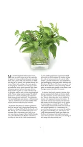 My Herbs Magazine screenshot 9