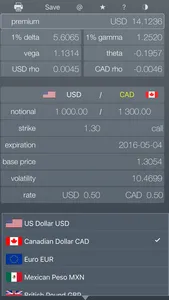 FX Option Lt screenshot 0