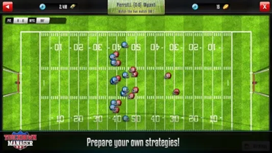 Touchdown Manager screenshot 1