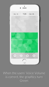 Voice Volume Meter Pro screenshot 1