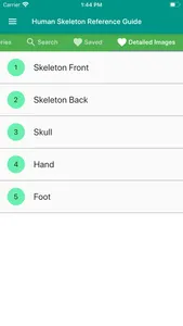 Human Skeleton Reference Guide screenshot 2