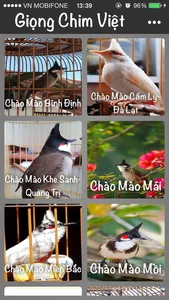 Tiếng chim hót - Sound Bird screenshot 1