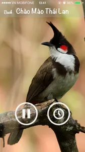 Tiếng chim hót - Sound Bird screenshot 2