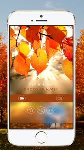Fall in Love Photo Frames screenshot 1