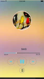 أجمل أصوات العصافير screenshot 3