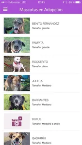 Mascotas en Adopción screenshot 2