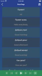 Russian Phrase Book Learn screenshot 1