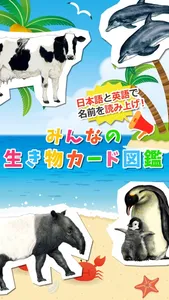 みんなの生き物カード図鑑 screenshot 0