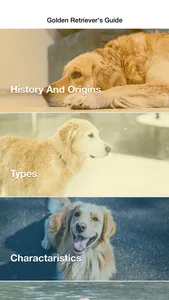 Golden Retriever: Dog Breed Guide screenshot 0