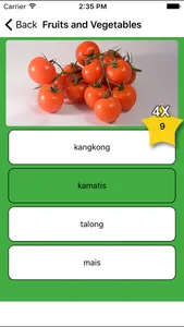 Learn Tagalog - Flashcards screenshot 3