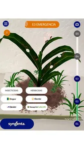 Syngenta Cards screenshot 1