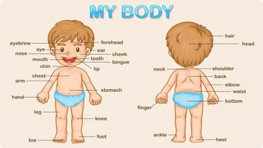 My Body Parts Learning screenshot 0