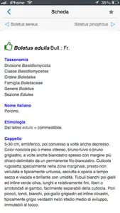 Funghi italiani screenshot 2