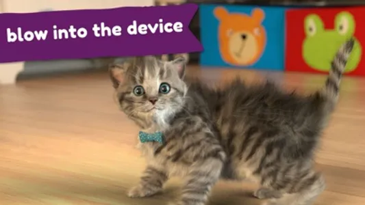 Little Kitten Favorite Pet Cat screenshot 4