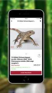 M&S Reptilien screenshot 2