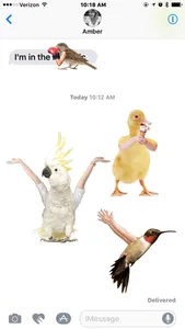 Birds with Human Arms screenshot 1