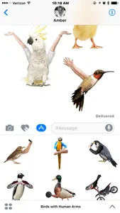 Birds with Human Arms screenshot 3