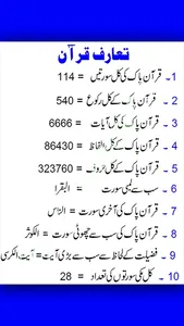 Islamiyat Lessons screenshot 4