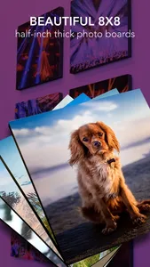 PhotoSquared photo wall tiles screenshot 0