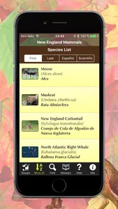 New England Mammals screenshot 1