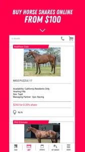 MyRacehorse screenshot 3