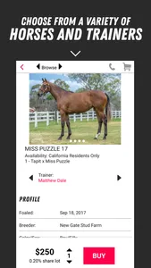 MyRacehorse screenshot 4