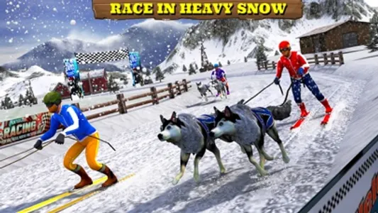 Sled Dog Racing 2017 screenshot 0