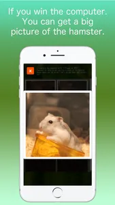 Hamster Memory Game screenshot 2