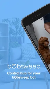 bObsweep screenshot 0