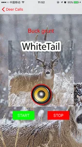 Real Whitetail Hunting Calls & Sounds - Deer screenshot 3