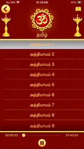 Bhagavad Gita in 11 Languages screenshot 9