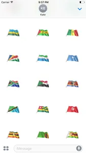 African Flags screenshot 0