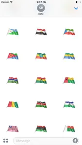 African Flags screenshot 3