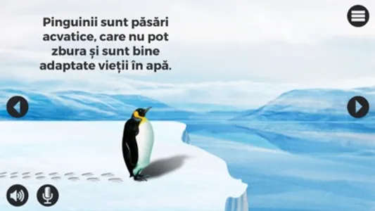 Pinguini screenshot 3